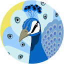 V Meenakshi V Meenakshi